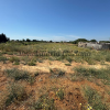 Parcela de 2.000 m2 en Venta Tocino con 4 escrituras independientes